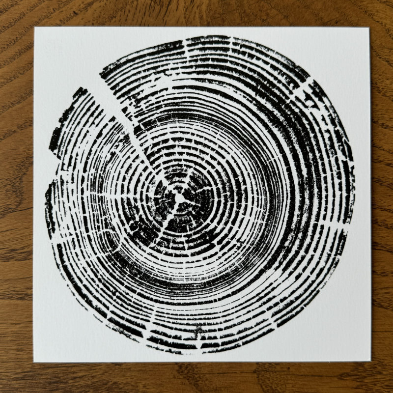 fünf postkarten - schwarzwaldbäume - brennholz