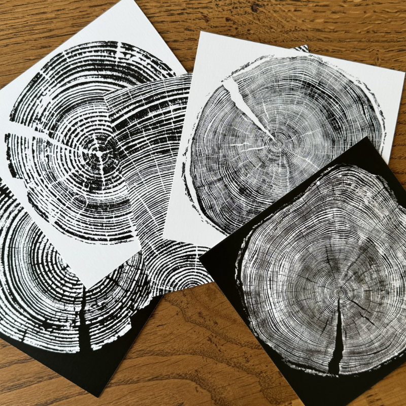 fünf postkarten - schwarzwaldbäume - serie